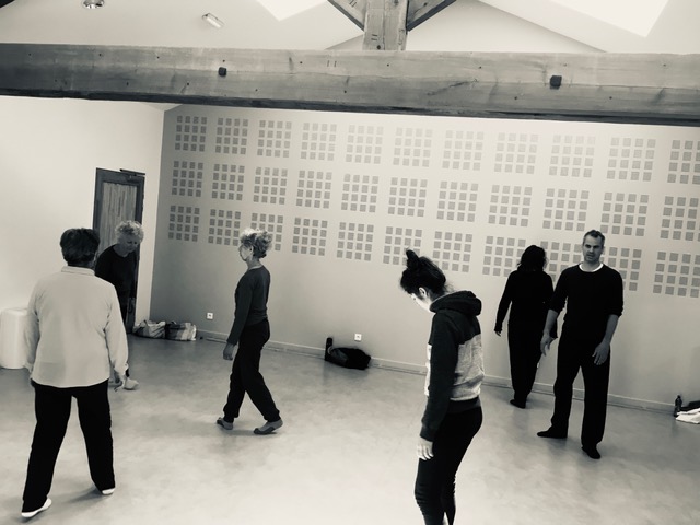 Image pour le cours collectif Atelier Feldenkrais et mouvements dansés